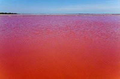 Sea of Azov