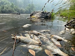 Klamath River