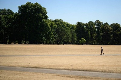 Dry fields