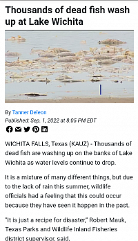 Wichita Falls