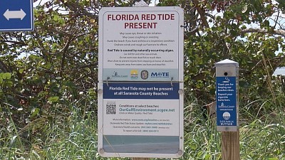 Red tide