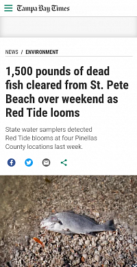 Red tide