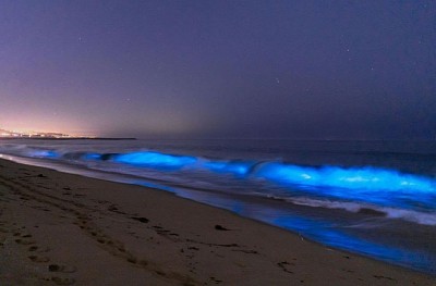 Newport Beach