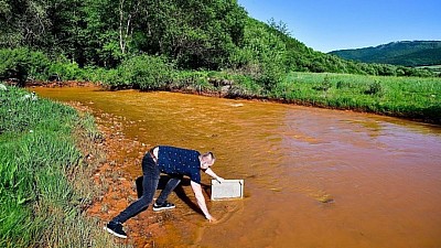 Red tide Slovakia