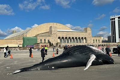 ATLANTIC CITY, NEW JERSEY