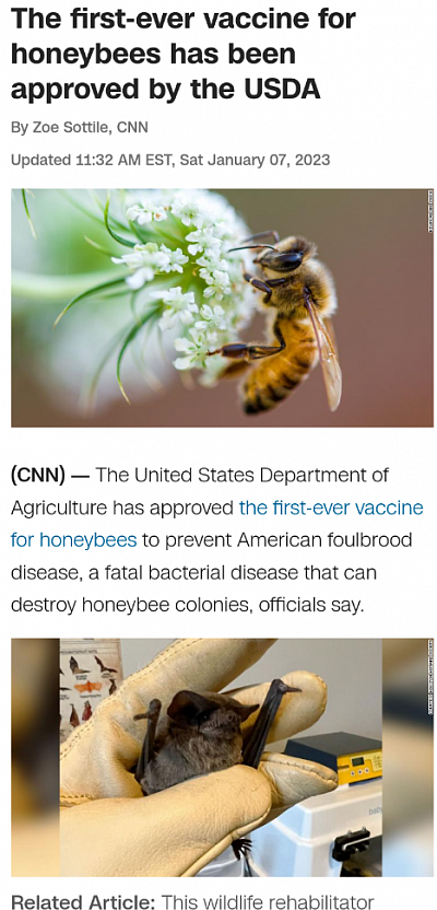 Bee vaccines