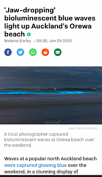 Bioluminescence