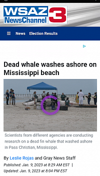 Mississippi whale