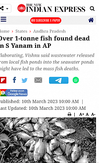 Indian fish kill