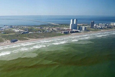 Red Tide Texas