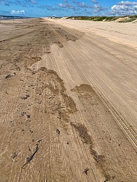 Red Tide stained beach in Texas