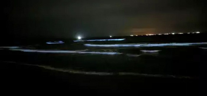 BIOLUMINESCENCE