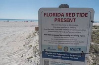 Florida red tide