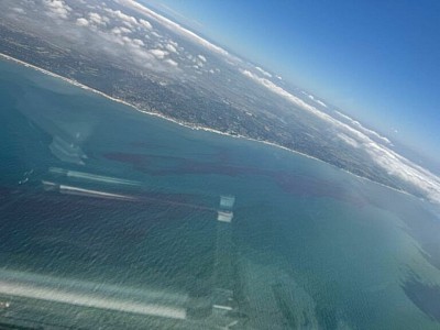 Red tide